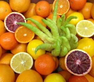 Fruits